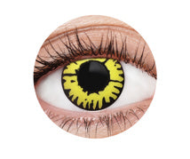 Contacts - Twilight