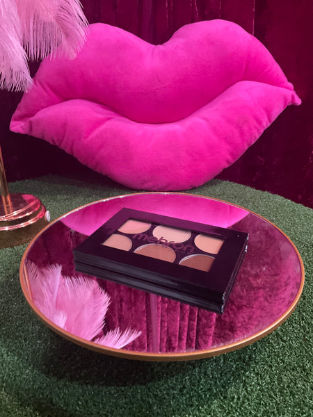 Mehron Concealer Palette