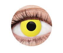Contacts - Yellow Crow
