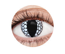 Contacts - White Dragon