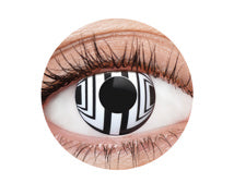 Contacts - Robot