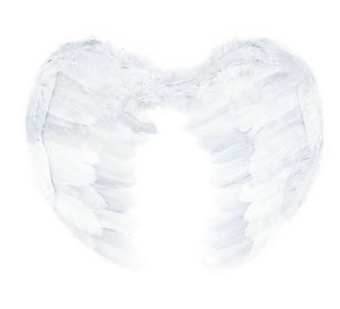 Angel Wings