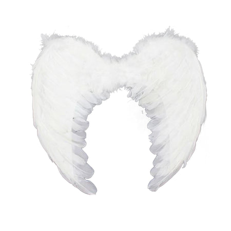 Angel Wings - Large Down Turned