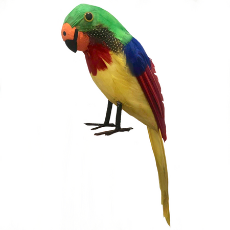 Feathered Pirate Parrot
