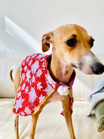 Christmas Cape - small dog or cat - red with icicles