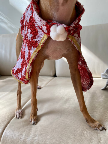 Christmas Cape - small dog or cat - red with icicles
